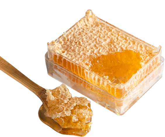 ABOUT 13HONEY